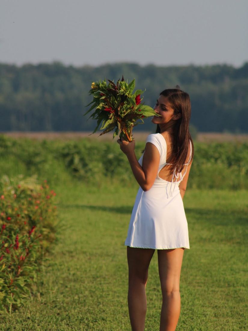 Bouquet de fleurs cueillies au champ