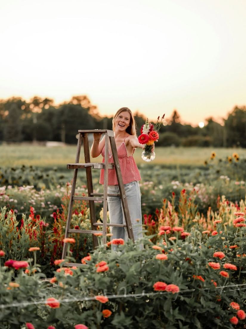 Échelle de bois dans le champ de fleurs