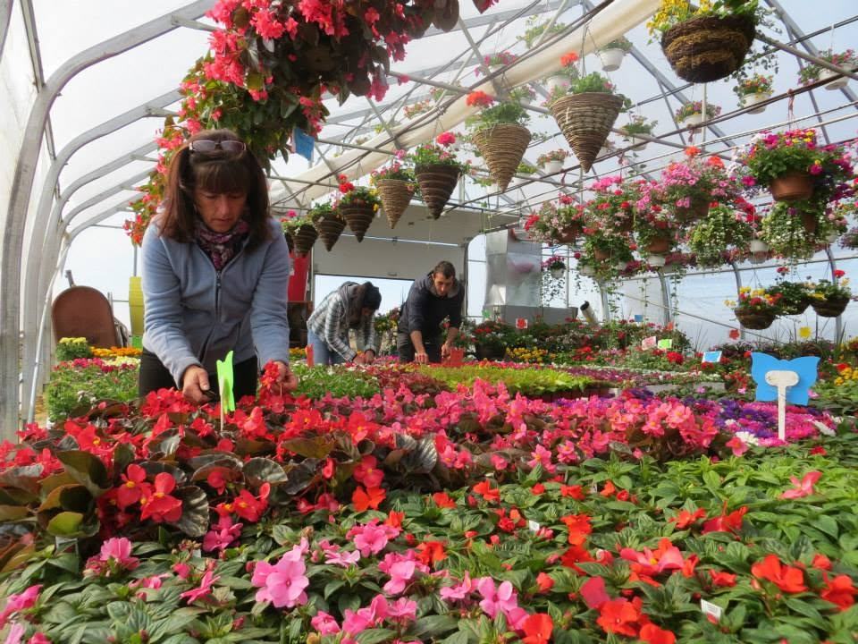 L’équipe du Jardin des Pensées dans la serre