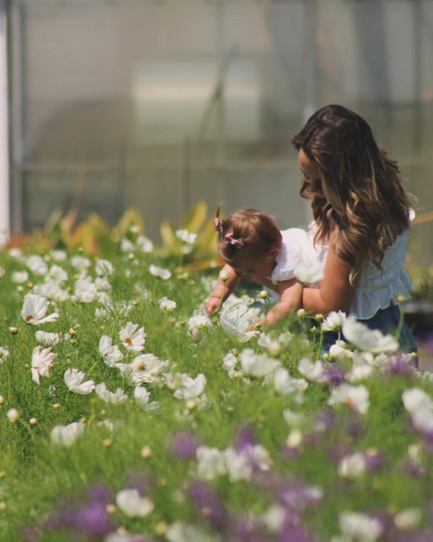 Famille dans le champ de cosmos