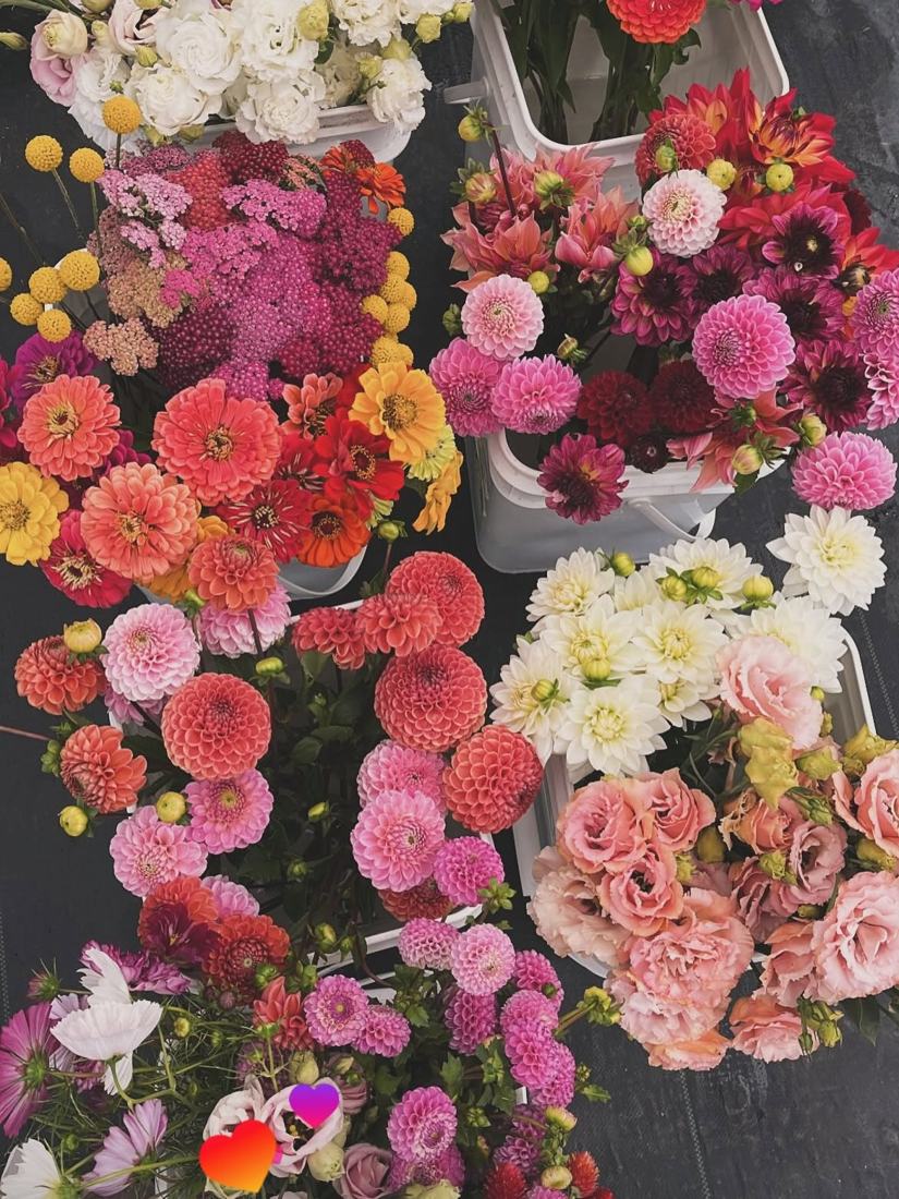 Fleurs coupées