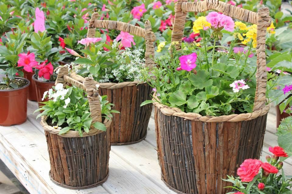 Paniers d’osier garnis de fleurs